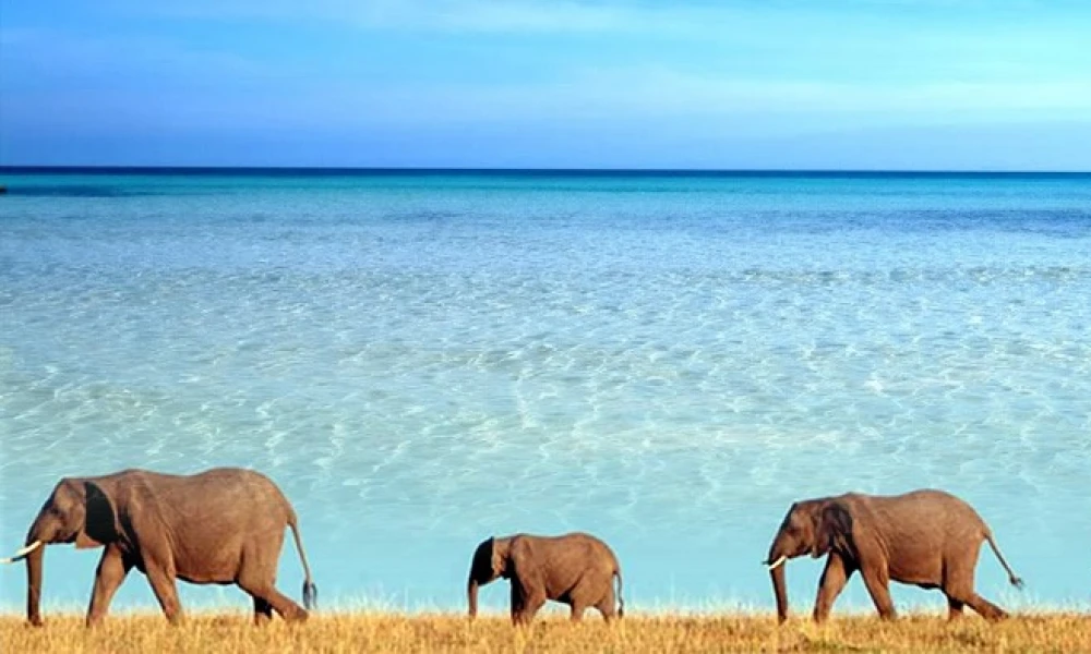 Ngorongoro Crater