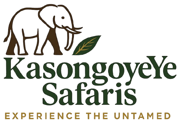 Kasongo Yeye Safaris